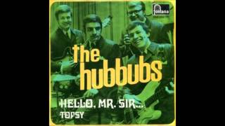 The Hubbubs  Hello Mr Sir Original AustropopInstrumentalhit 1969 [upl. by Ahsaya611]