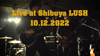 Antarctic Monkeys Live at SHIBUYA LUSH 10122022 [upl. by Durman]