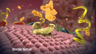 Radiopeptides destroy tumor cells [upl. by Mariann]