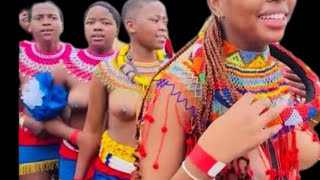 Zulu Traditional Music And Dance Zulutradition traditional SouthAfrica [upl. by Braden218]