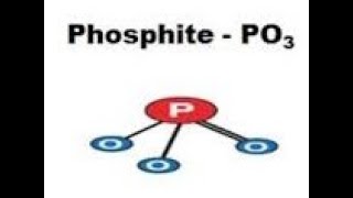 Phosphites How to Maximize Disease Control [upl. by Raybourne279]