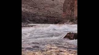 Grand Canyon Rafting Upset Rapid [upl. by Mathilde]