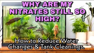 Why Are My Nitrates Still So High in My Planted Aquarium How to Fix amp Do WAY Less Water Changes [upl. by Rudy]