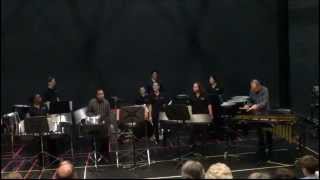 Pastiche Steel Ensemble featuring Liam Teague amp Anders Åstrand  Steelband Times [upl. by Euqinim99]