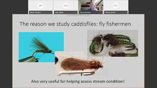 Introduction to EPTs  Trichoptera Caddisflies [upl. by Yboj878]