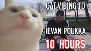 Cat Vibing To Ievan Polkka 10 Hours [upl. by Eelarak]