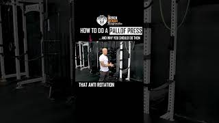 How to do a Pallof Press [upl. by Anelagna]