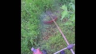 Cutting weeds around dense trees with a brushcutter without damage [upl. by Encratis]