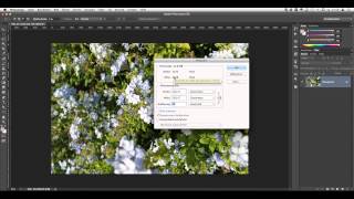 Auflösung ändern  mit Photoshop [upl. by Legnaros316]