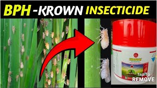 KROWN INSECTICIDE Dinotefuran 20 Translaminar insecticide  कृषि रसायन क्राउन कीटनाशक [upl. by Ahsiym]