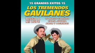 Los Tremendos Gavilanes  Que Sacrificio [upl. by Cy735]