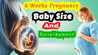 Pregnancy 6 Weeks  6 Weeks Pregnant  Baby Size  Baby Development  Baby Growth  Pregnancy [upl. by Htidirrem]