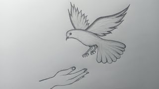 How to Draw a Pigeon Flying StepbyStep  Easy Way to Pigeon Drawing by Pencil  Pencil Drawing [upl. by Lenes]