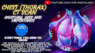 Chest Thorax CT Scan Anatomy uses and importance [upl. by Ebberta640]