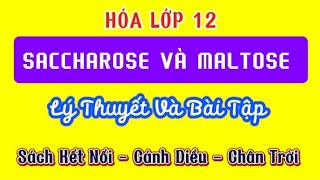 Hóa Lớp 12  SACCHAROSE VÀ MALTOSE Sách Kết Nối  Cánh Diều  Chân Trời [upl. by Orbadiah]