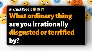 rAskReddit  What ordinary thing are you irrationally disgusted or terrified by [upl. by Christabella]