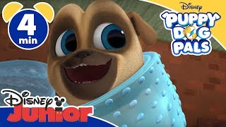 Puppy Dog Pals  Un parco giochiquasi  Disney Junior Italia [upl. by Velasco]