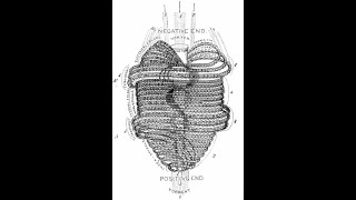 Hollow Earth part 4 [upl. by Iolande652]