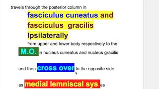 Astereognosis stereognosis two point discrimination graphesthesia Dejerine–Roussy syndrome [upl. by Sheepshanks]