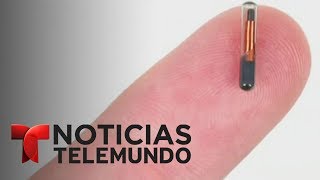 Implantan microchips a empleados de una empresa en Wisconsin  Noticiero  Noticias Telemundo [upl. by Goldner]