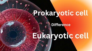 Prokaryotic cell and Eukaryotic Cell  Difference And Similarities  science biology cell [upl. by Nylaehs698]