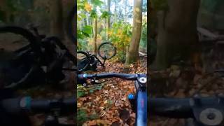 Fallen Leaves mtb enduromtb bike downhill mountainbike [upl. by Icul806]