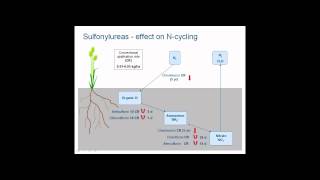 Herbicide effects on soil biology and function [upl. by Clorinde226]