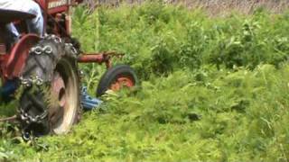 Mowing with Sickle Bar on 1961 Farmall Cub  Part 4 [upl. by Enialb348]