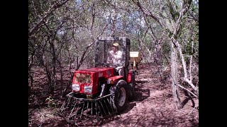 Maquinaria Innovadora para la Producción de Pastura Bajo el Bosque [upl. by Llertnahs]