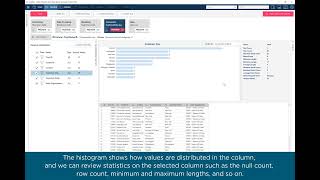 Get Started with Altair Monarch  Part 3  Preview Data [upl. by Millham]