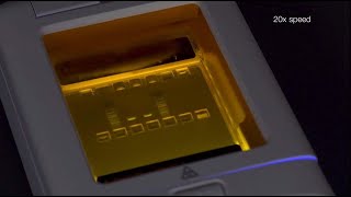 How To Quickly Purify DNA with EGel CloneWell II Gels [upl. by Marielle907]