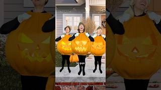 Pumpkins After Halloween 🎃 comedy halloween shorts [upl. by Eremehc]