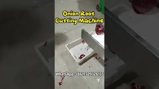 Best Onion Root Cutting Machine vegetables onion garlic [upl. by Rosenfeld]