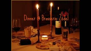 Dinner  Brasserie Zédel Luvcat Vocals Only Acapella [upl. by Sibbie]