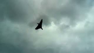 Vulcan XH558 Flypast over Southend Airport [upl. by Hanover]