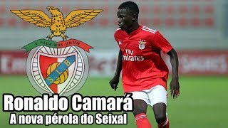 Benfica made in Seixal  Ronaldo Camará a nova pérola encarnada [upl. by Tomasine]