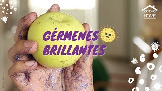 Gérmenes brillantes 🦠  Experimentos de ciencia en casa [upl. by Assirolc]