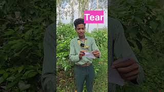 Vocabulary  Spoken English in Gov School  English Conversation spokenenglish ytshorts viral [upl. by Anomahs]