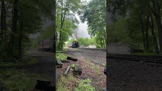 CNJ 113  2024 Minersville Community Day steamtrain train [upl. by Nedi156]