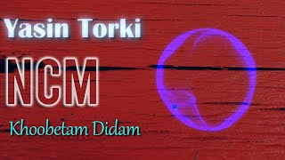 Yasin Torki  Khoobetam Didam DJM6 amp Sajjad Gholipour Remix [upl. by Lauber]