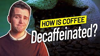 How is Coffee Decaffeinated [upl. by Stetson742]