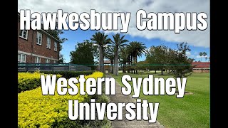 WSU Hawkesbury Campus Walking Tour  Western Sydney University  ASMR [upl. by Porcia]