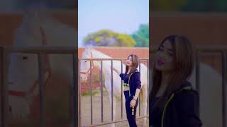 Pulkari Song Do Aapli Na Aaya Baliye New Karan Randhawa Status video song HD [upl. by Ennoved691]