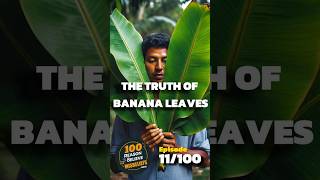 11100 Why do we eat on banana leaves  Know the reason facts mythbuster shorts viralvideo [upl. by Iaverne]