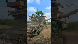 John dear 😎🔥 lover 5310 ful 🔥 power ❤️❤️❤️dhan harvesting ❤️😎💪farming love [upl. by Tuesday]