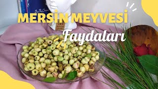 FAYDALARI SAYMAKLA BİTMEYEN MERSİN MURT HAMBELES MEYVESİNİN FAYDALARI NELERDİR [upl. by Egdirdle605]