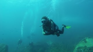 Mergulho de Cilindro em Fernando de Noronha [upl. by Severen706]