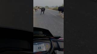 Road rage With chapri rider😡 Ntorq 125 Crashed 😭 trending roadragevlog viralvideos shorts [upl. by Gargan484]