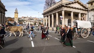 La Transumanza dei Bergamì in centro Bergamo  29102017 Valle Brembana [upl. by Jaymie]