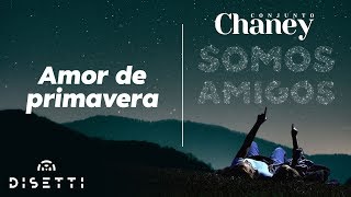 Conjunto Chaney  Amor De Primavera  Salsa con Letra Romantica [upl. by Nimzaj]